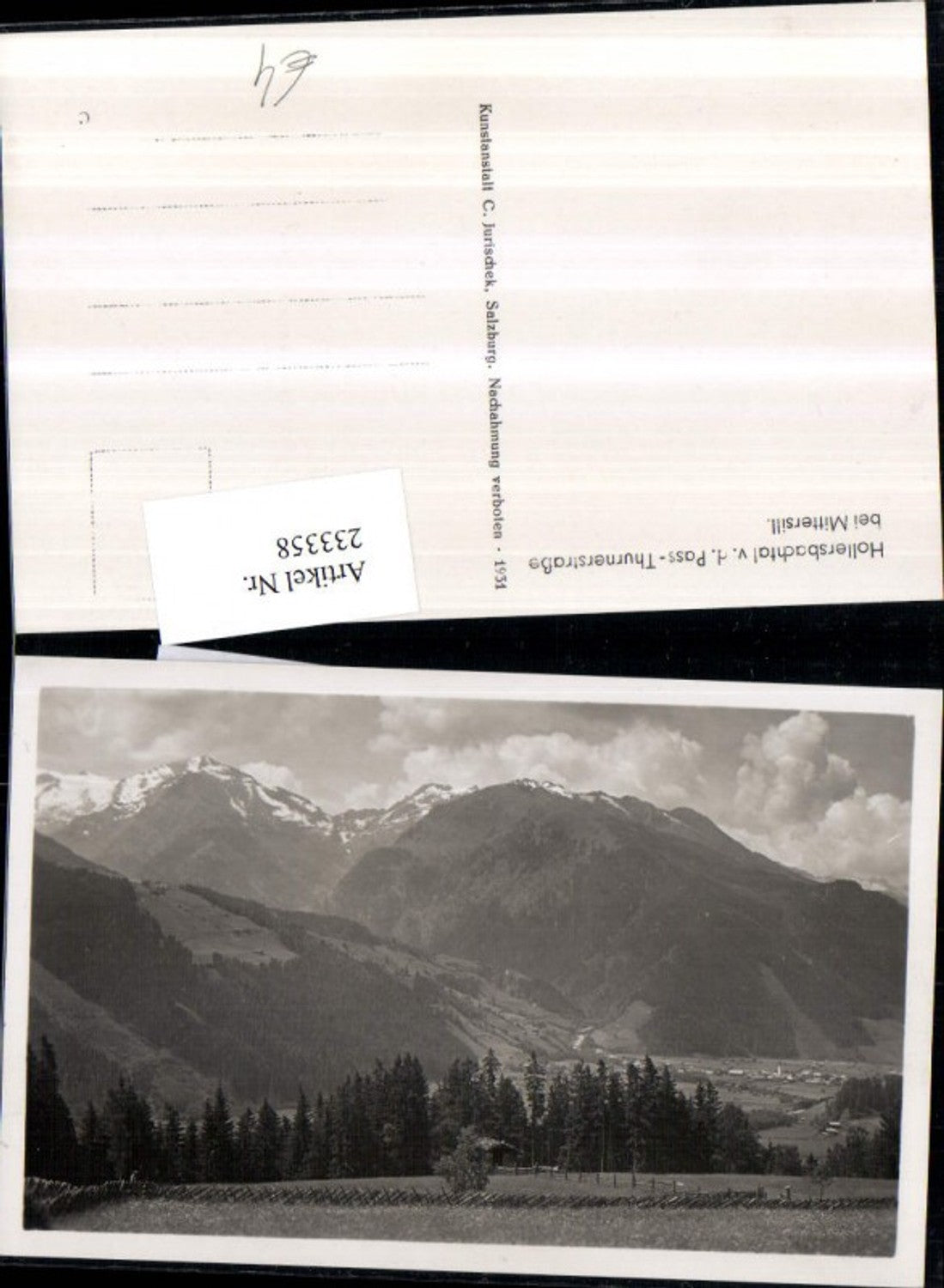 233358,Hollersbachtal v. d. Pass-Thunerstraße b. Mittersill Partie