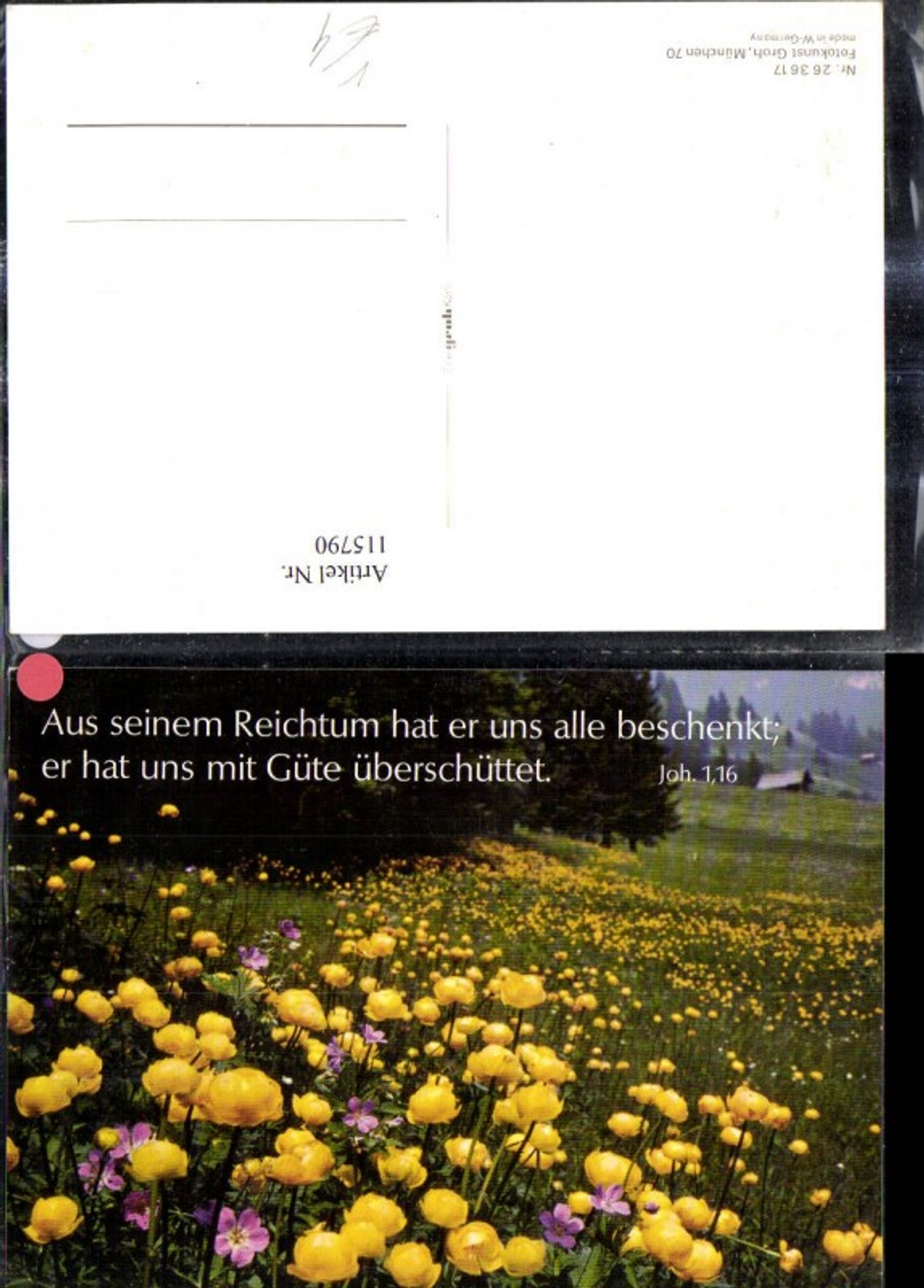 115790,Künstler Ak Blumenwiese Blumen Spruch Text pub Fotokunst Groh 263617