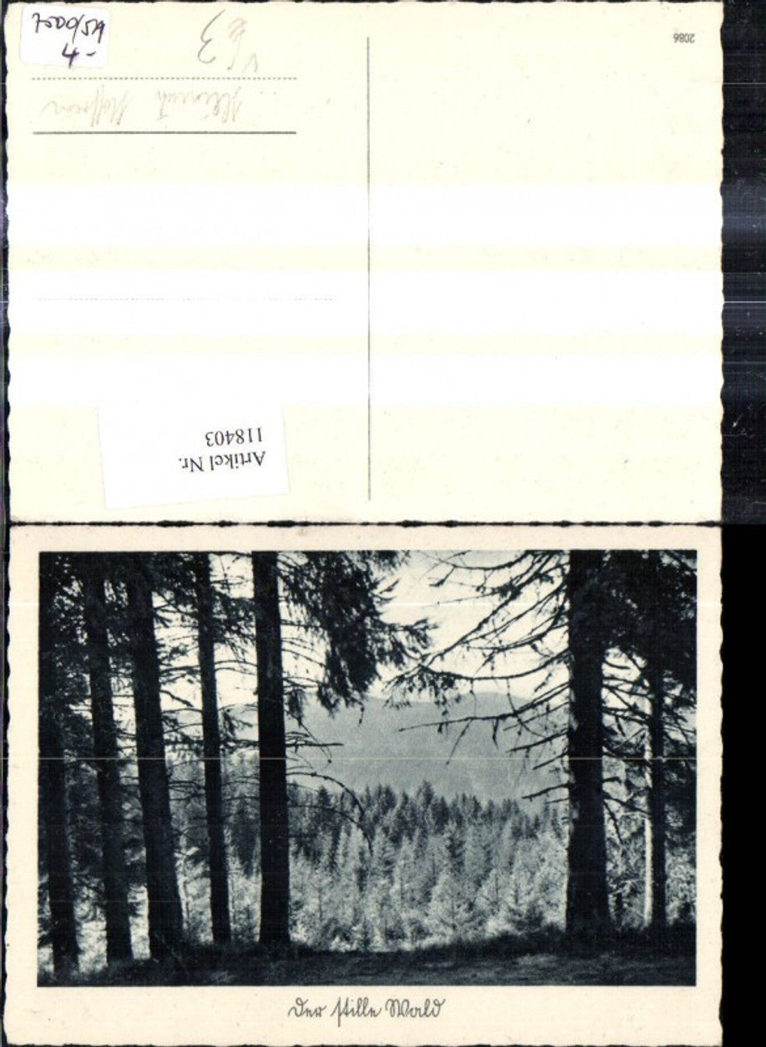 118403,Foto Ak Im stillen Wald Landschaft Bäume pub Heinrich Hoffmann 2086