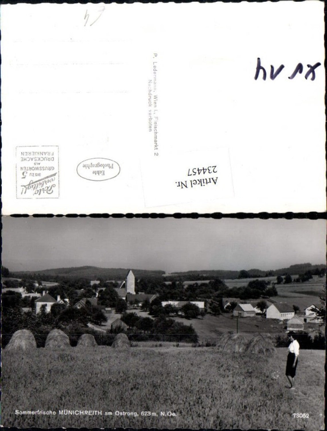 234457, Münichreith am Ostrong, partial view of field harvest