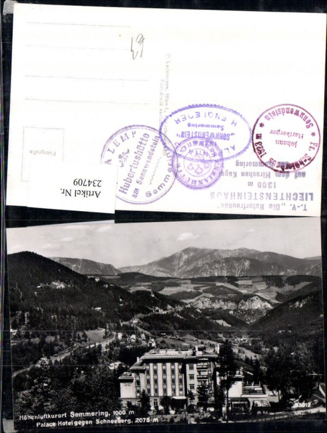 234709,Semmering Palace-Hotel geg. Schneeberg