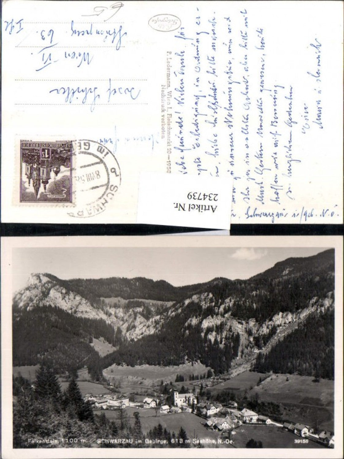 234739,Schwarzau im Gebirge Totale m. Falkenstein