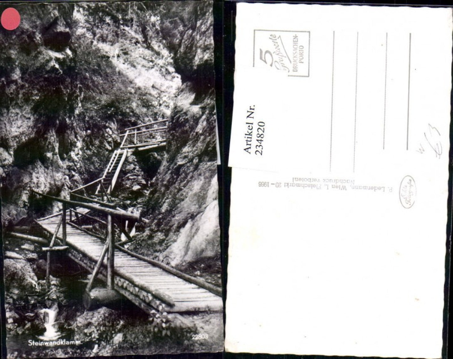 234820,Steinwandklamm Klamm Partie b. Weissenbach an d. Triesting