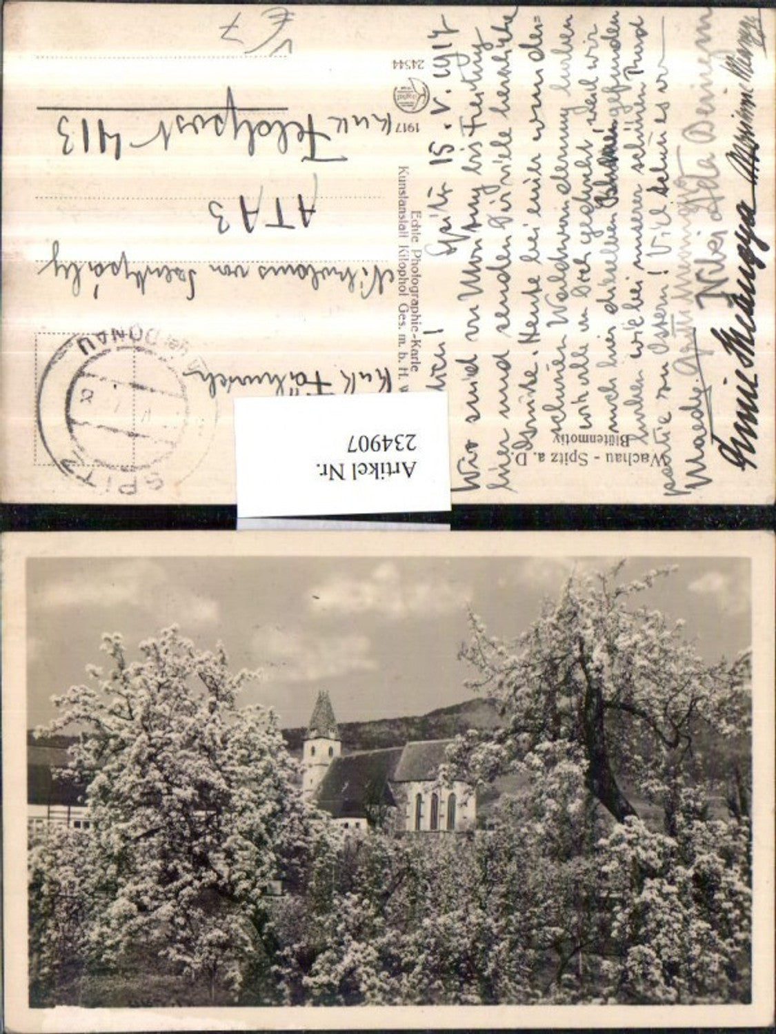 234907,Wachau Spitz an d. Donau Blütenmotiv pub Kilophot 25444