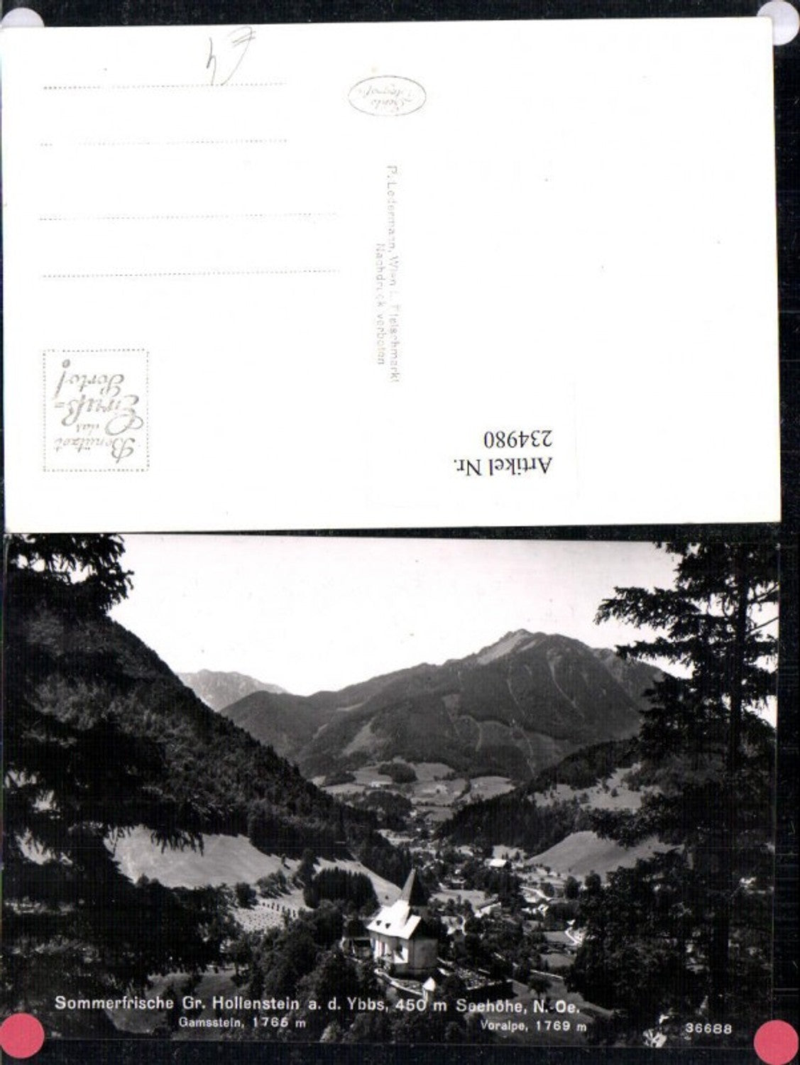 234980,Groß Hollenstein an d. Ybbs Totale m. Gamsstein u. Voralpe