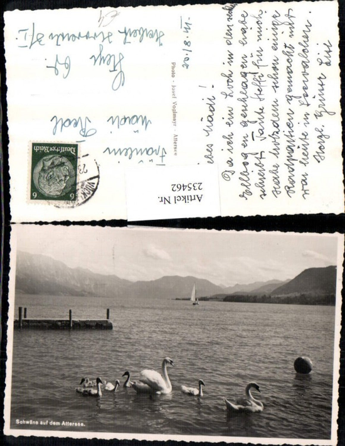 235462, Swans on Lake Attersee, section