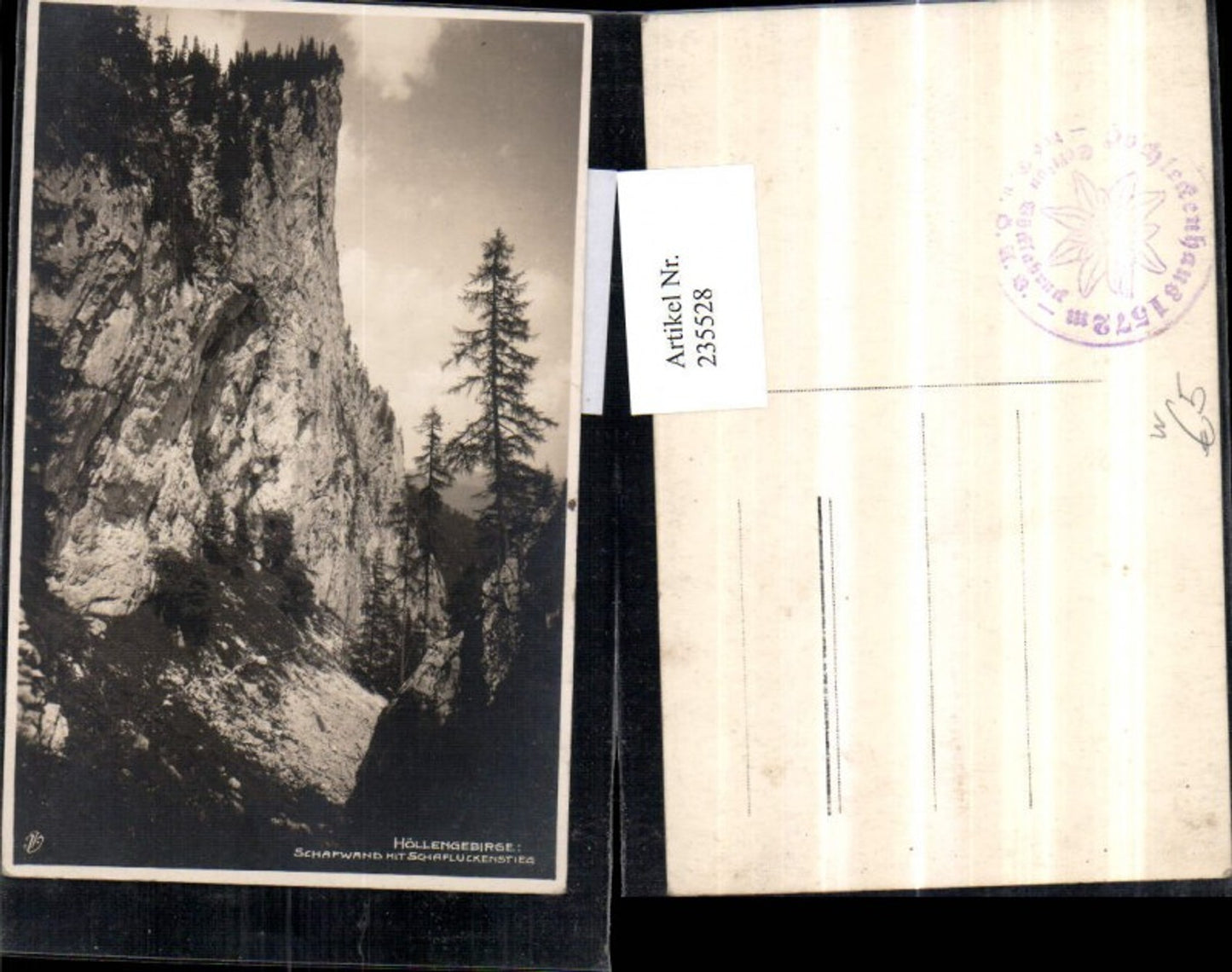 235528,Höllengebirge Schafwand m. Schafluckenstieg b. Ebensee