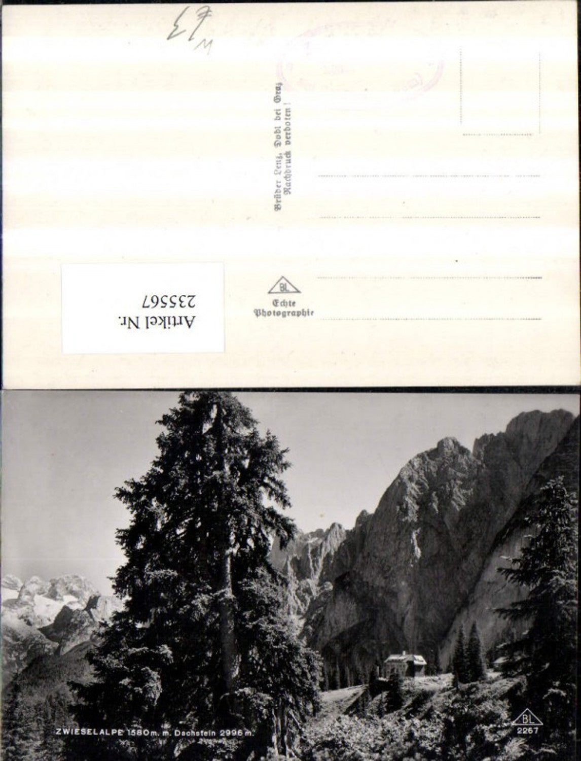 235567,Zwieselalpe m. Dachstein b. Gosau