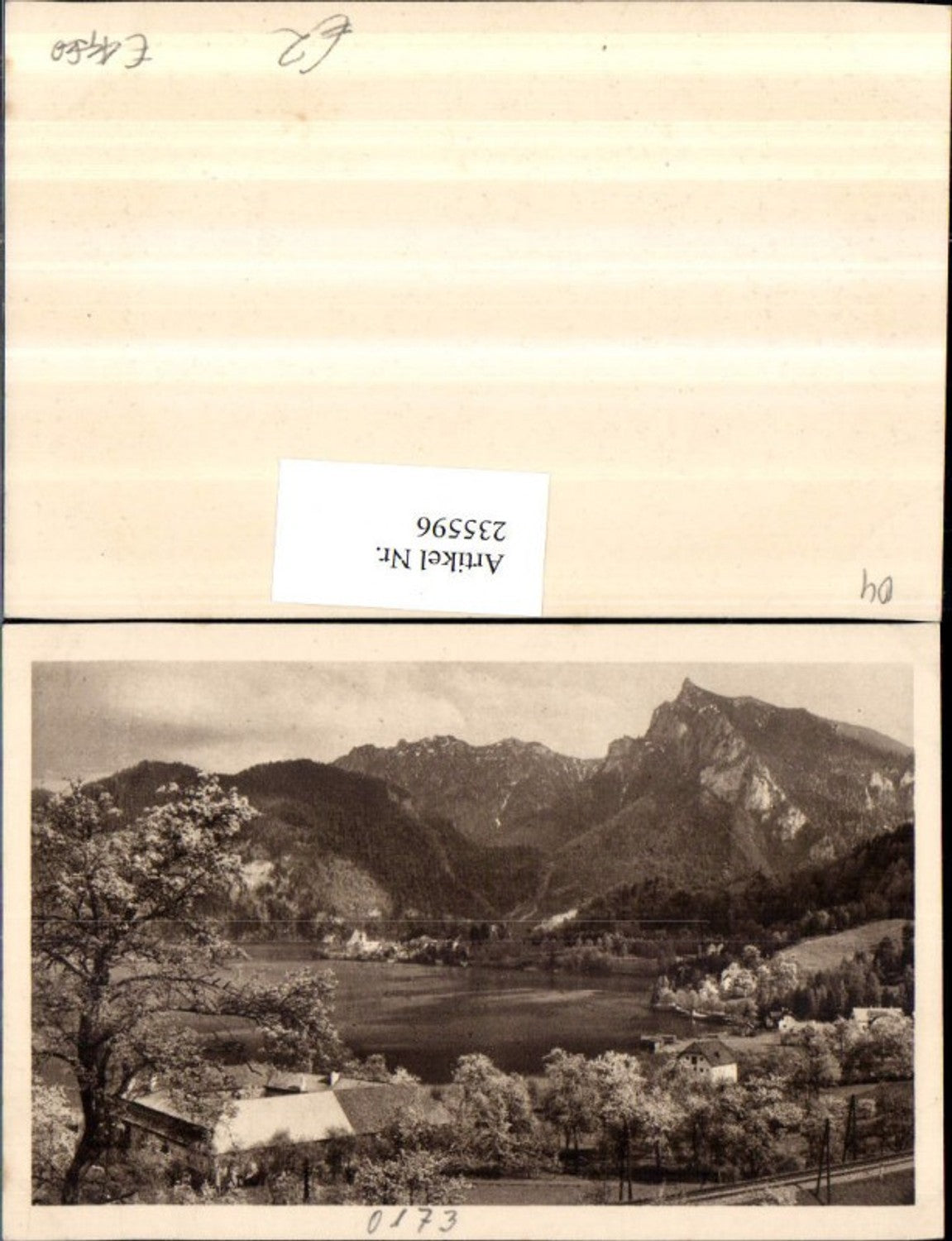 235596,Traunkirchen Steinwinkel