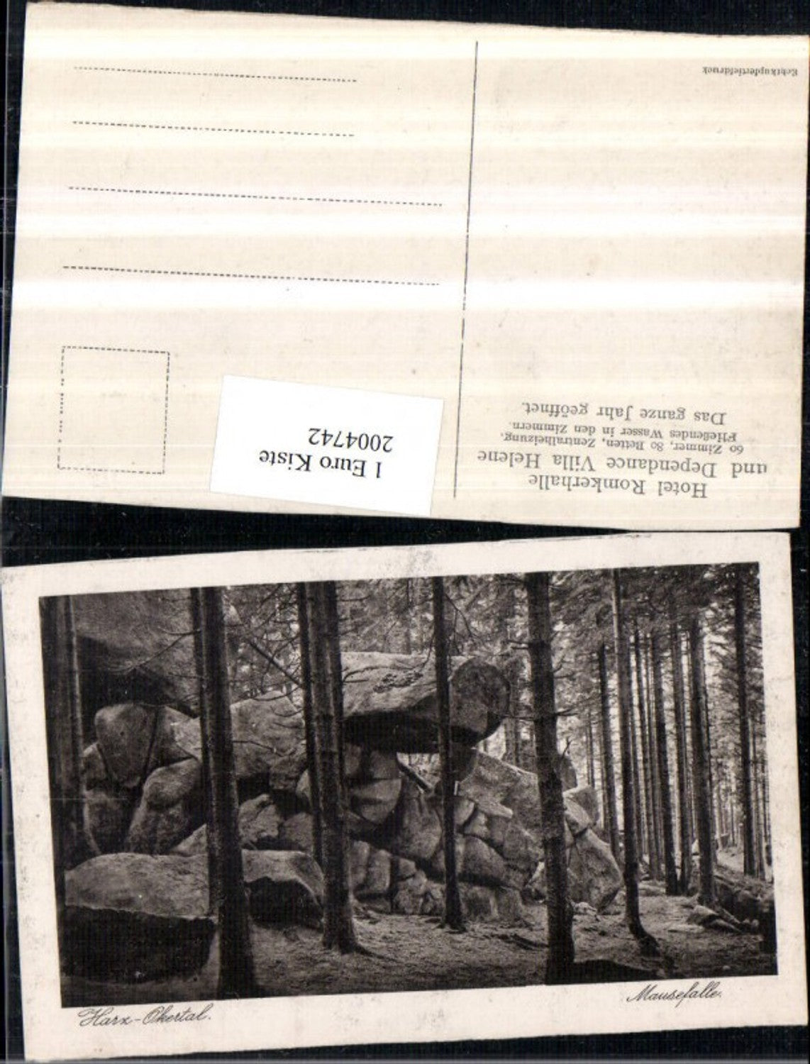 2004742,Harz Okertal Mausefalle Steine Wald Partie