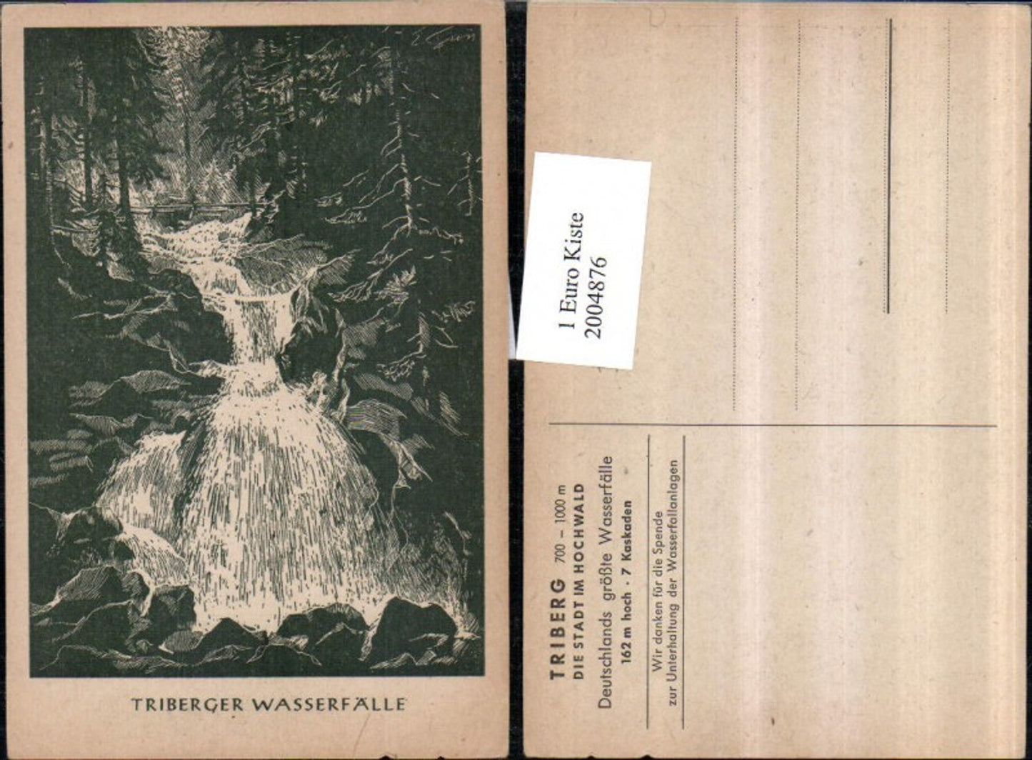2004876,Künstler AK Triberg Wasserfall