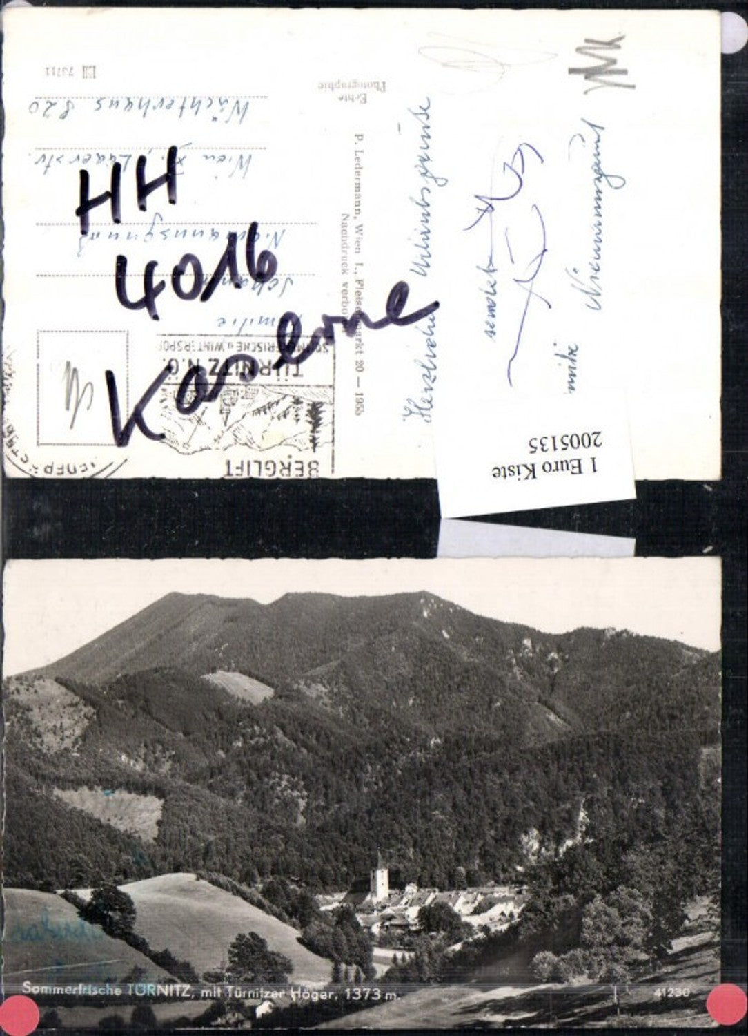 2005135,Türnitz Teilansicht m. Türnitzer Höger