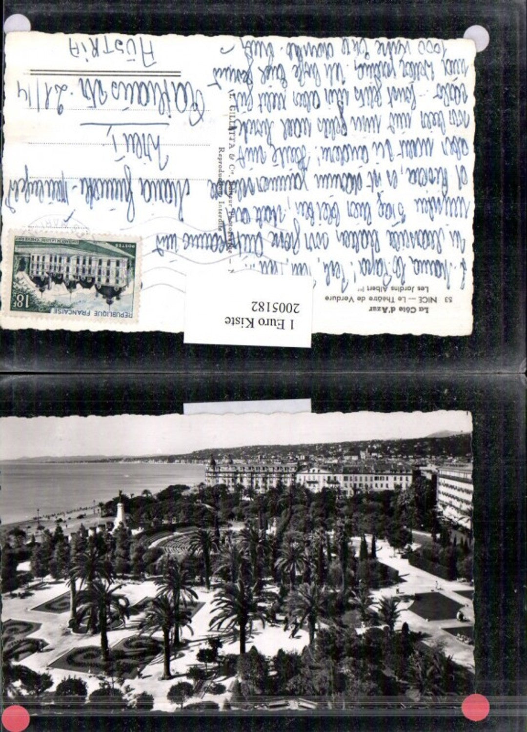 2005182,La Cote d'Azur Nice Le Theatre de Verdure Les Jardins Albert Park Palmen