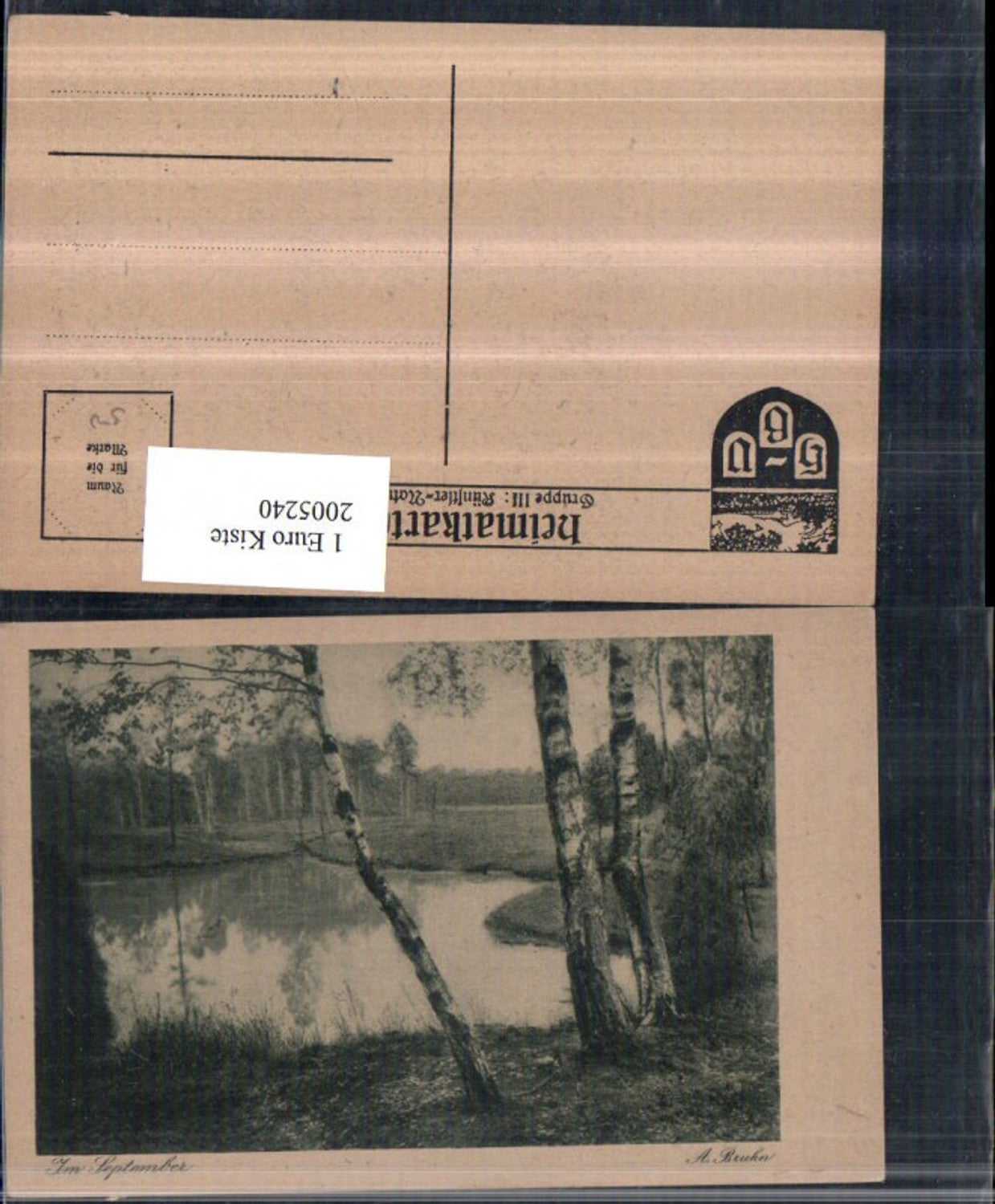 2005240,Künstler AK A. Bruhn Im September Landschaft Birken Partie