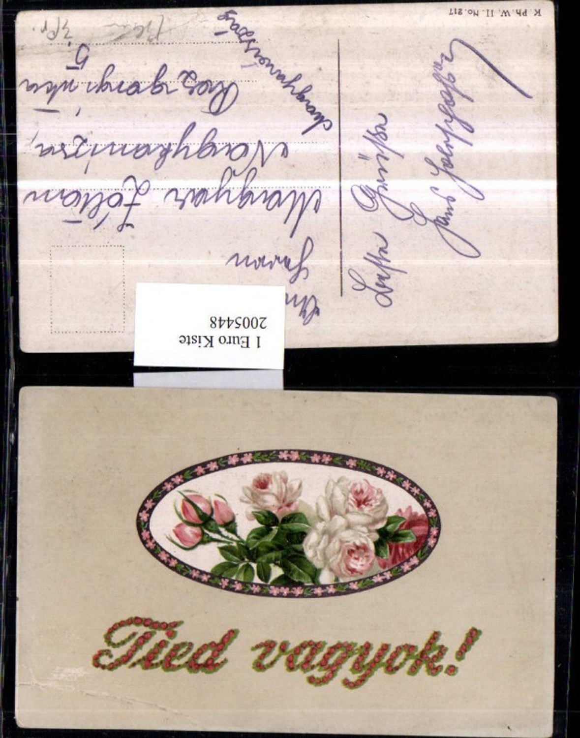 2005448,Tied vagyok Rosen Rosenblüten