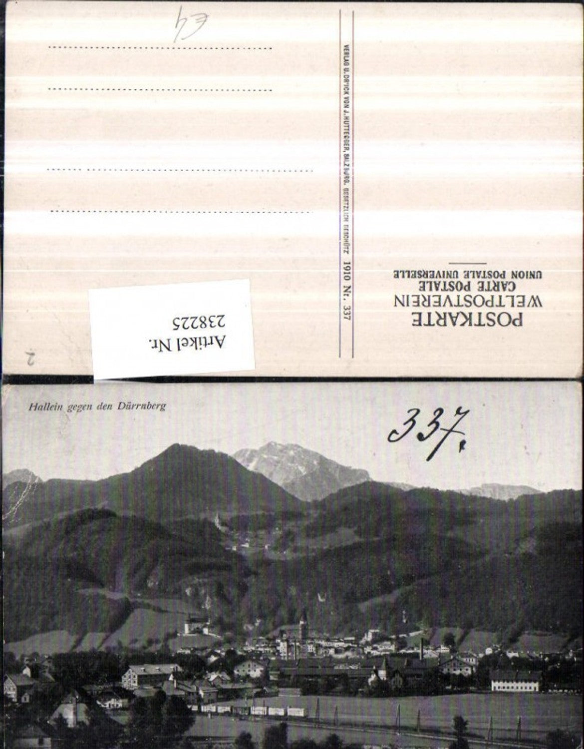 238225,Hallein Totale geg. d. Dürrnberg