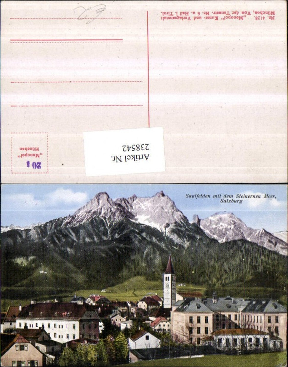 238542,Saalfelden Totale m. d. Steinernen Meer