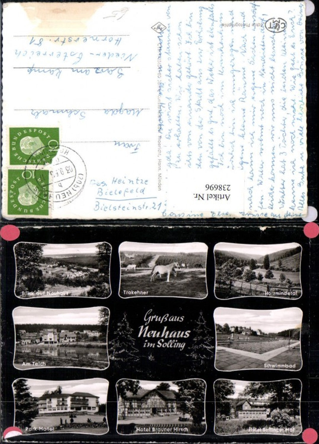 238696,Neuhaus im Solling Totale Schwimmbad Hotel Trakehner Pferd Mehrbildkarte