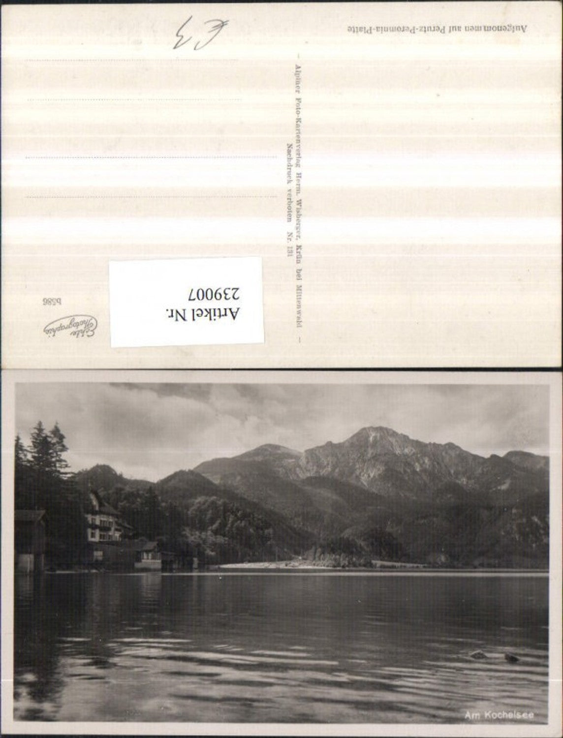 239007,Am Kochelsee See b. Kochel Partie