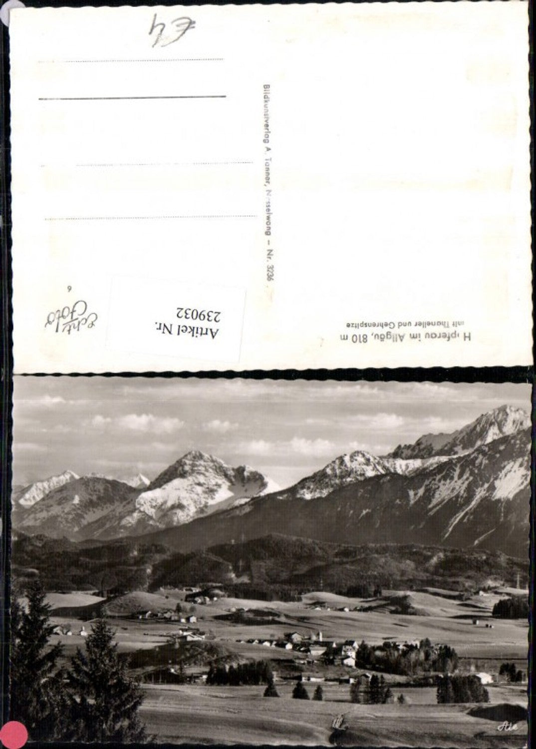 239032,Hopferau im Allgäu Totale m. Thaneller u. Gehrenspitze