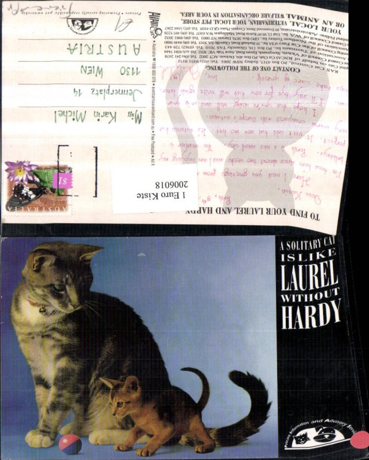 2006018,Katzen Babykatze b. Spielen