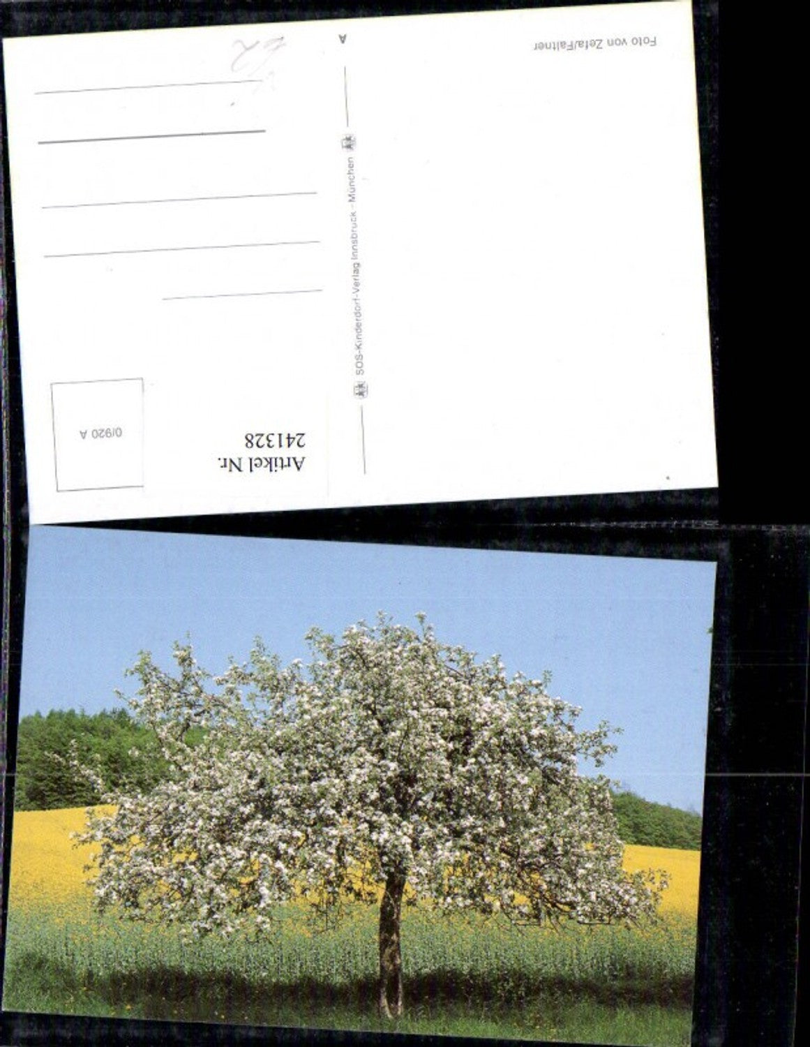241328,SOS Kinderdorf 0/920A Obstbaum Baum Rapsfeld