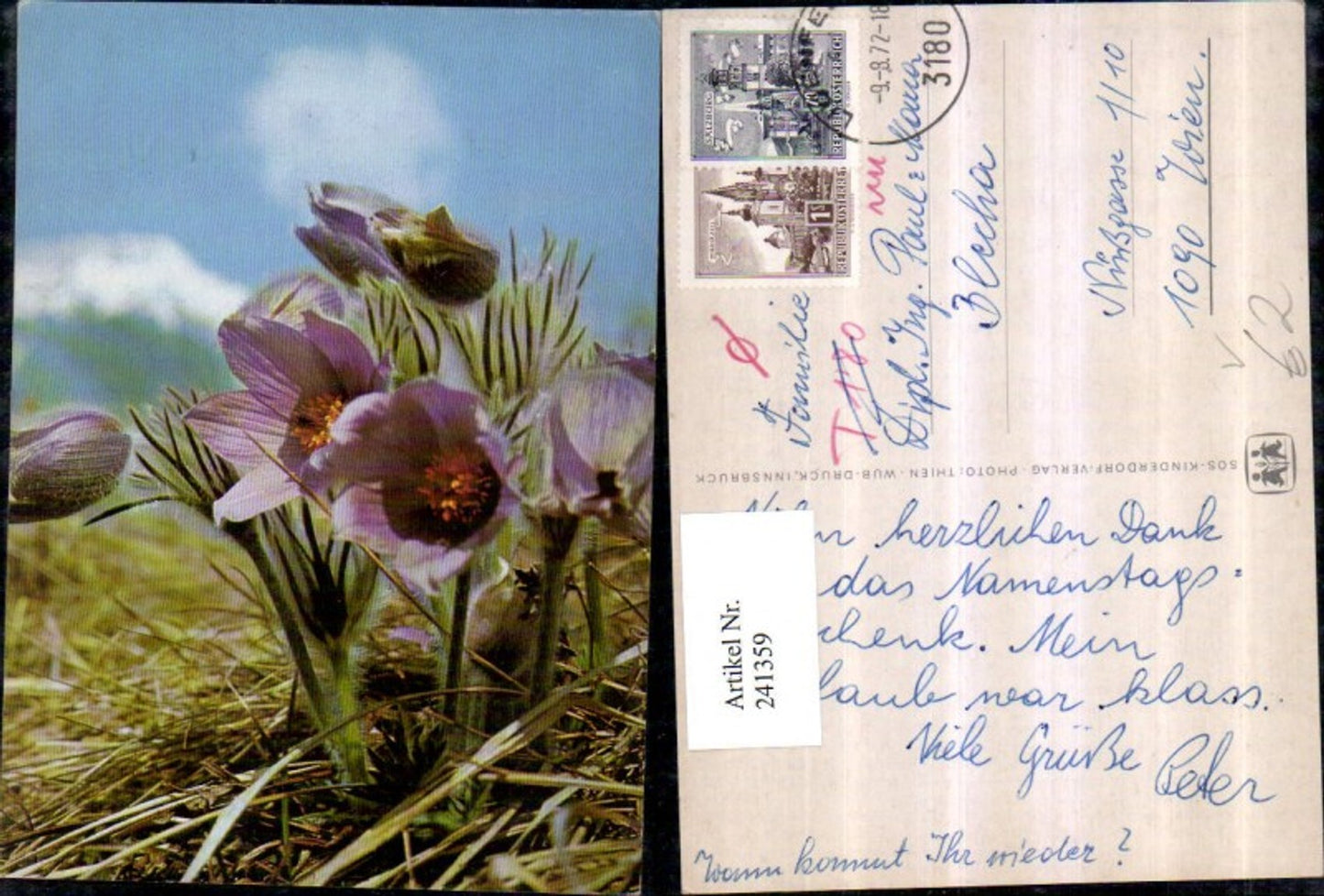 241359,SOS Kinderdorf Kuhschelle Blumen