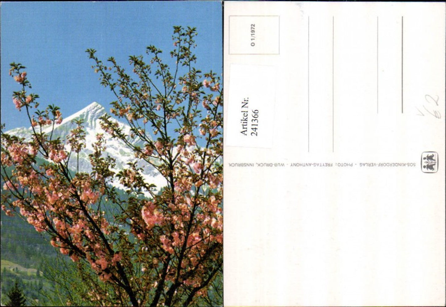 241366,SOS Kinderdorf O 1/1972 Blühender Baum Bergkulisse