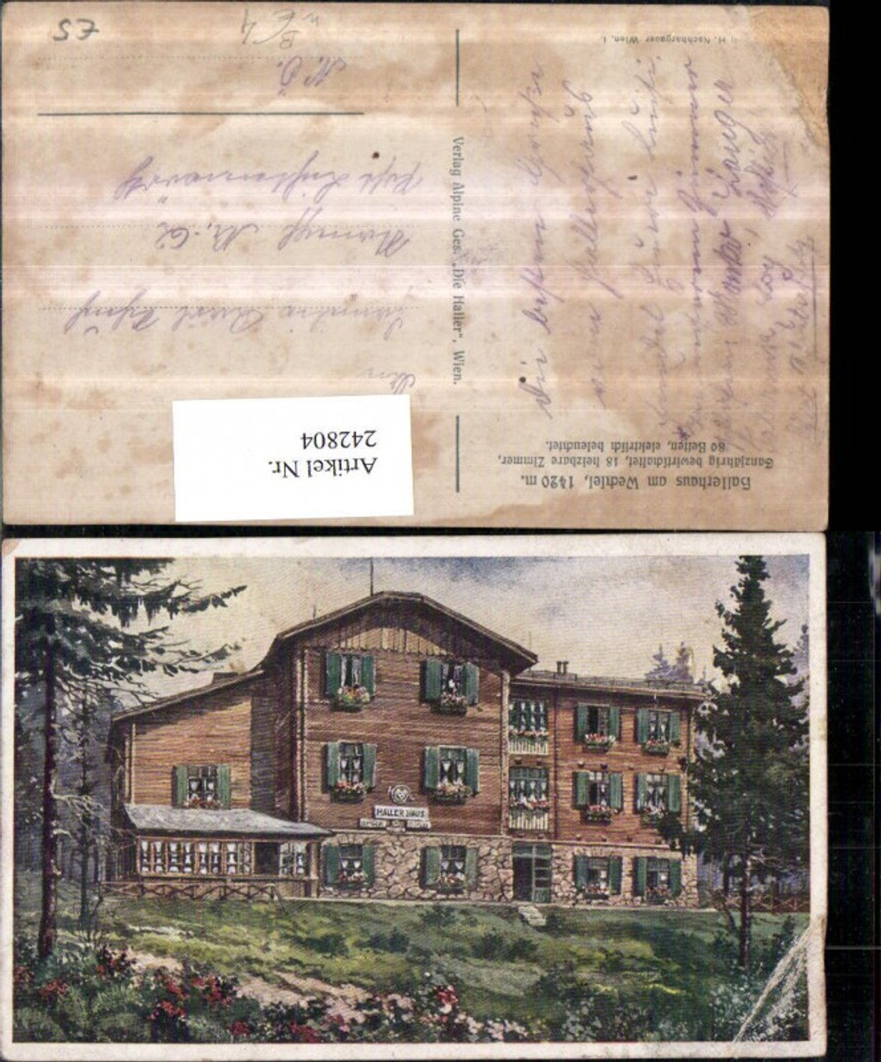242804,Künstler AK Hallerhaus a. Wechsel b. Mönichkirchen