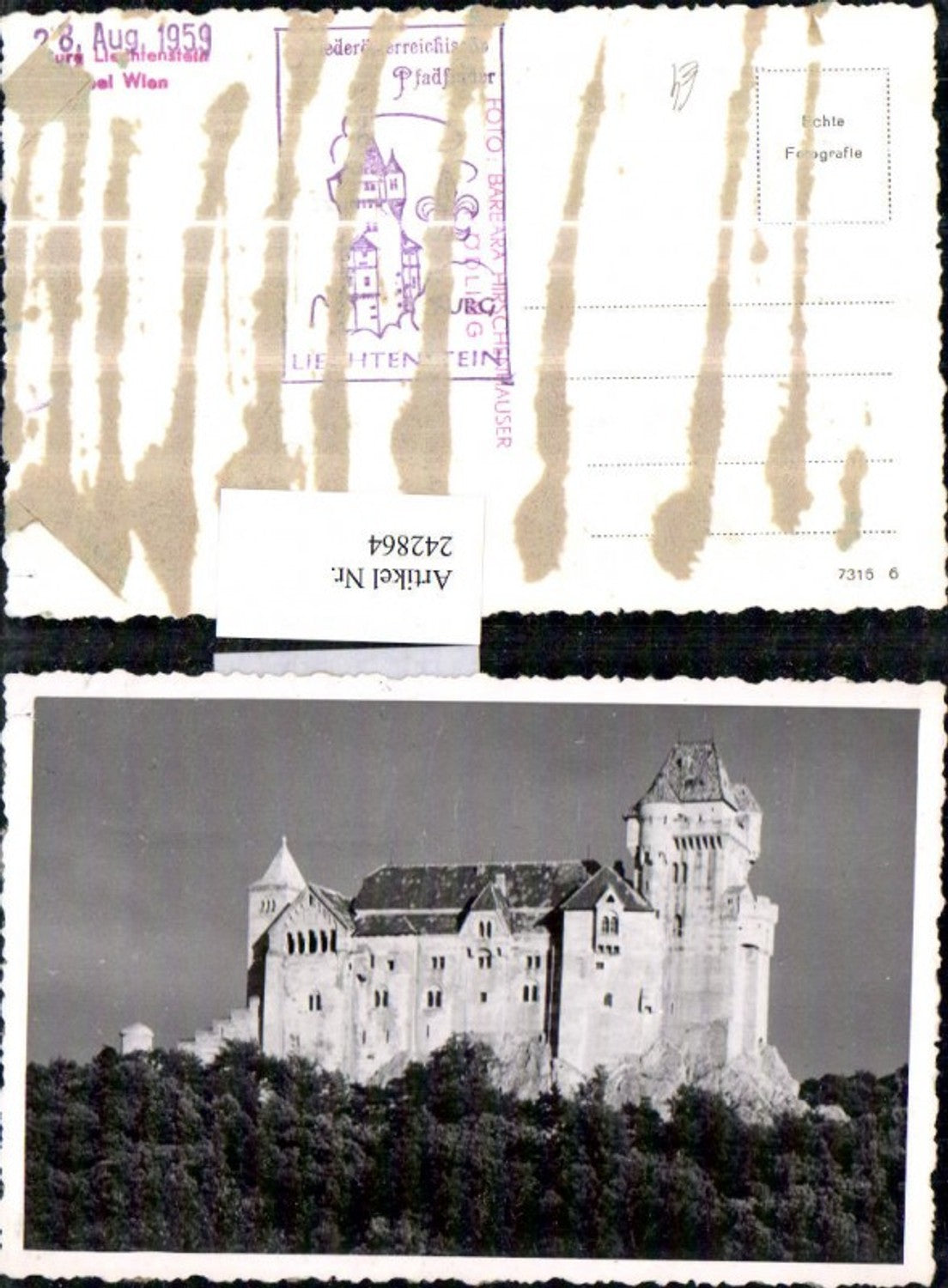 242864,Burg Liechtenstein b. Mödling