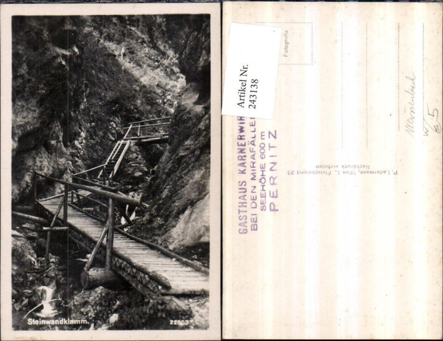 243138,Steinwandklamm Klamm Partie b. Weißenbach an d. Triesting