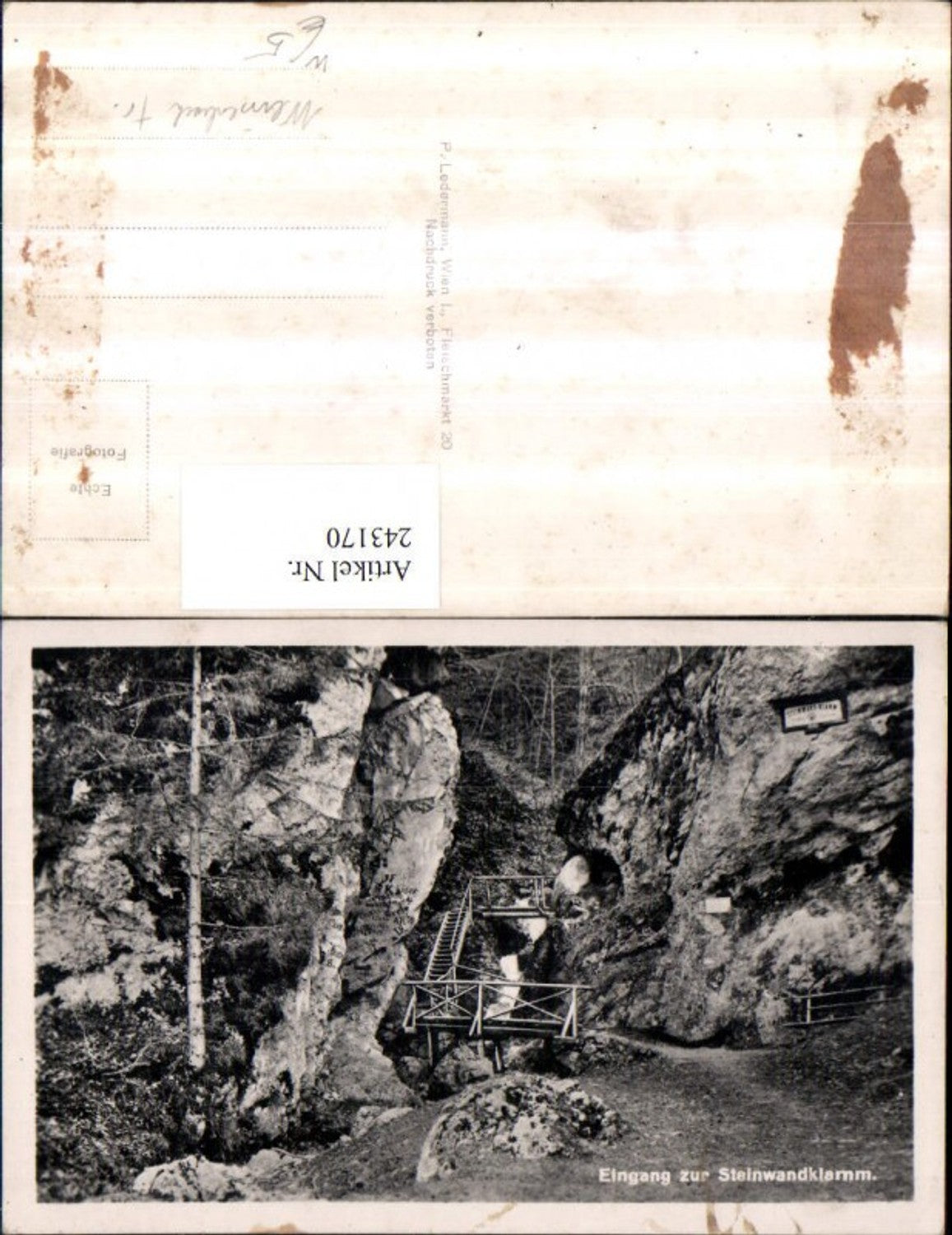 243170,Eingang zur Steinwandklamm Partie b. Weißenbach an d. Triesting