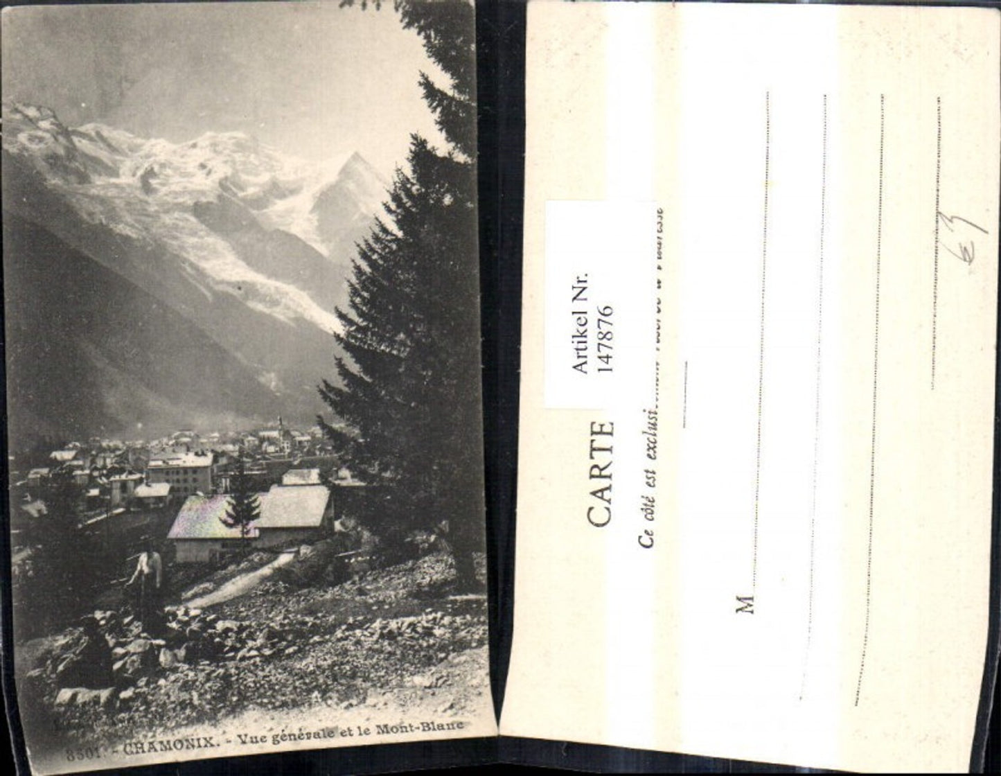 147876,Chamonix Vue generale et le Mont Blanc Totale