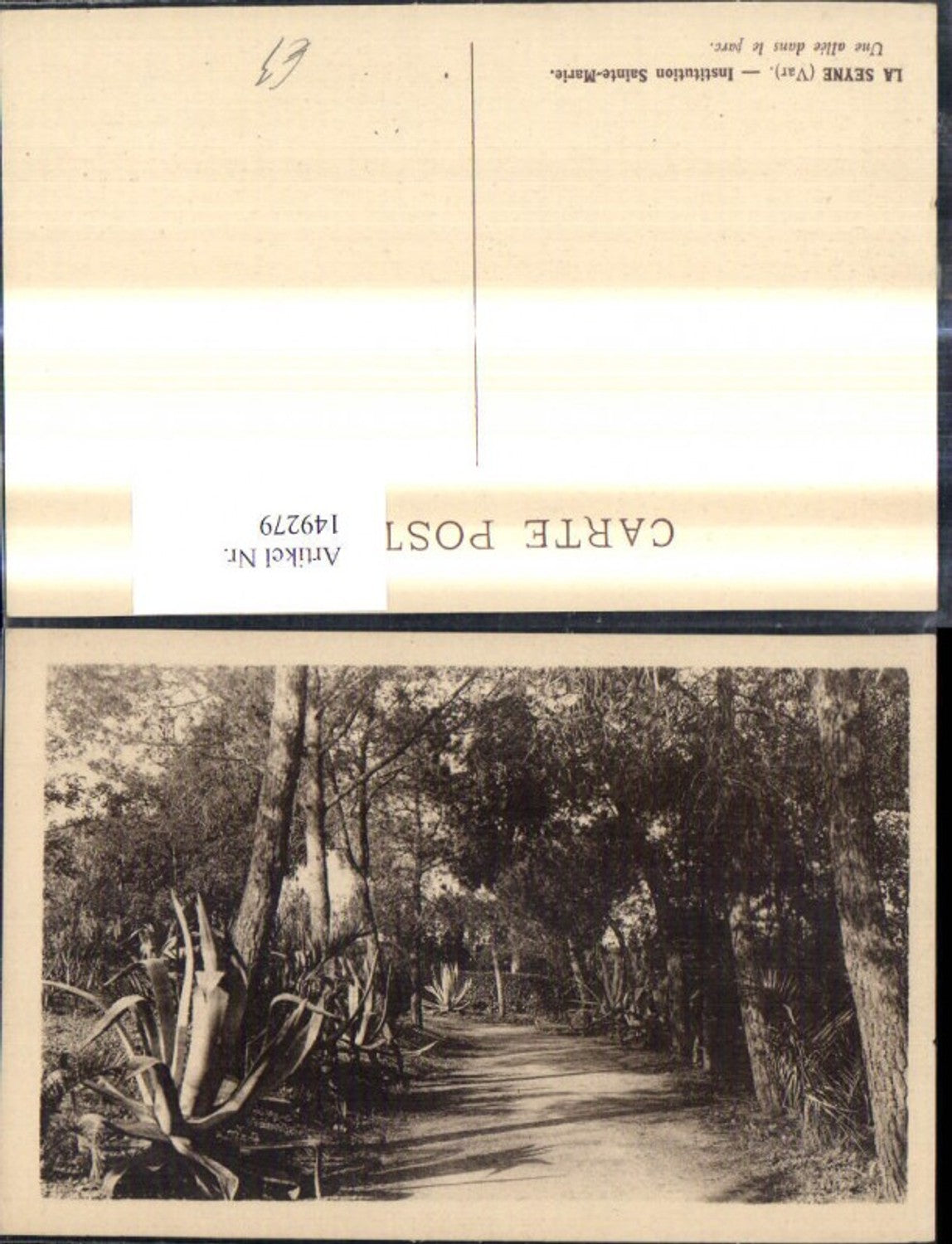 149279,La Seyne Institution Saint Marie Une allee dans le parc Park Allee