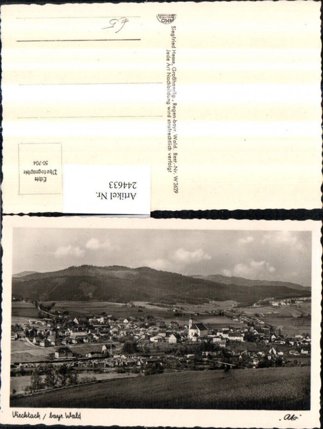 244633, Viechtach in the Bavarian Forest (Total)