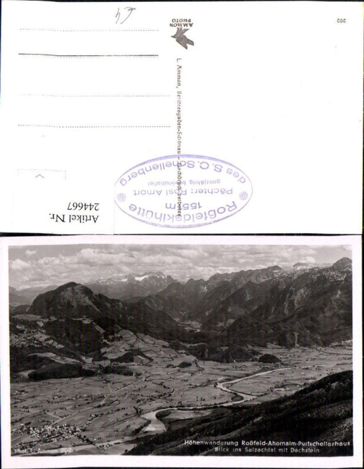 244667,Höhenwanderung Roßfeld-Ahornalm-Purtschellerhaus Blick ins Salzachtal m. Dachstein