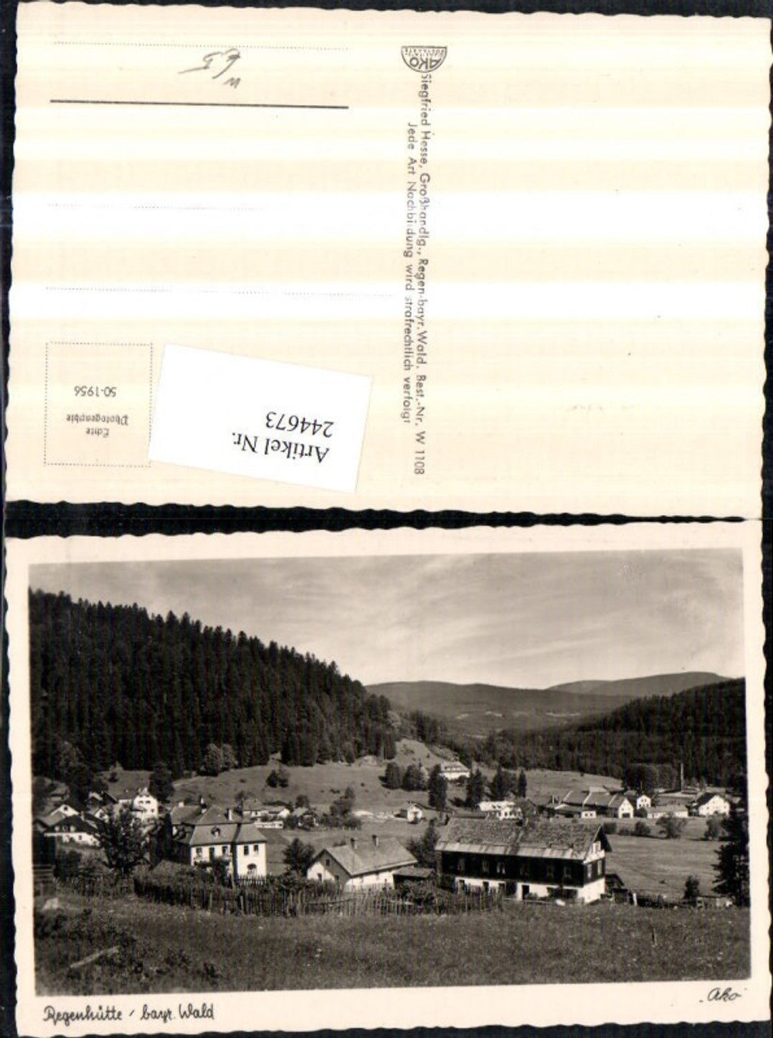 244673,Regenhütte im bayerischen Wald Totale b. Bayerisch Eisenstein