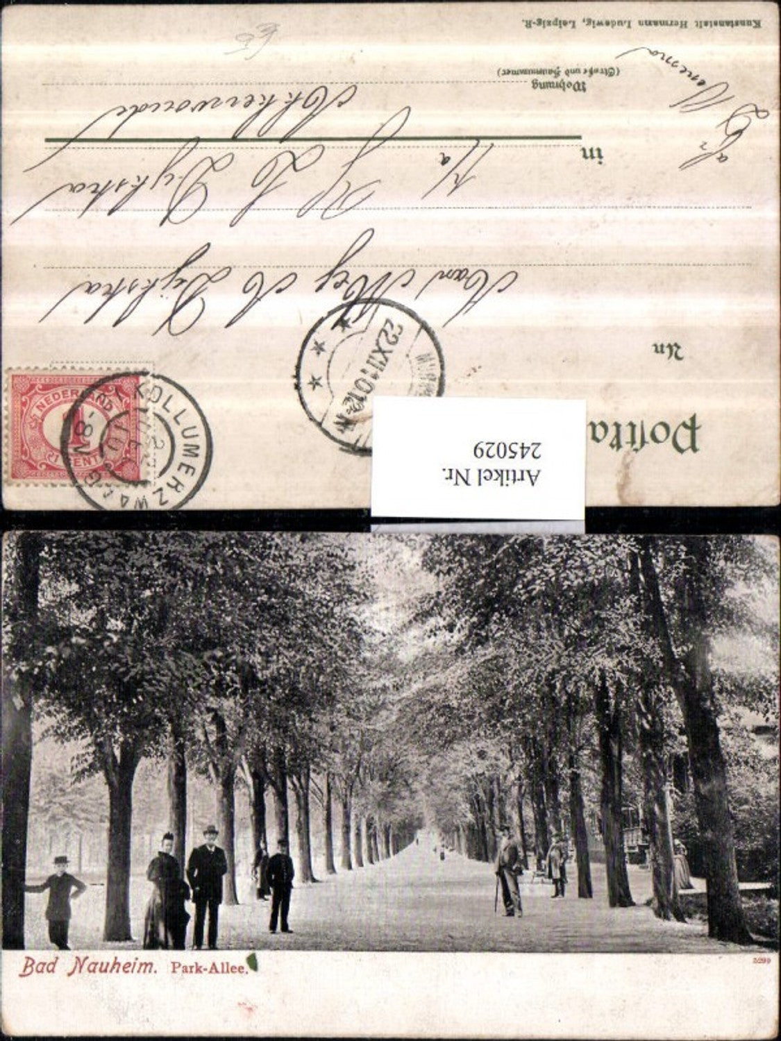 245029,Bad Nauheim Park-Allee Straßenansicht