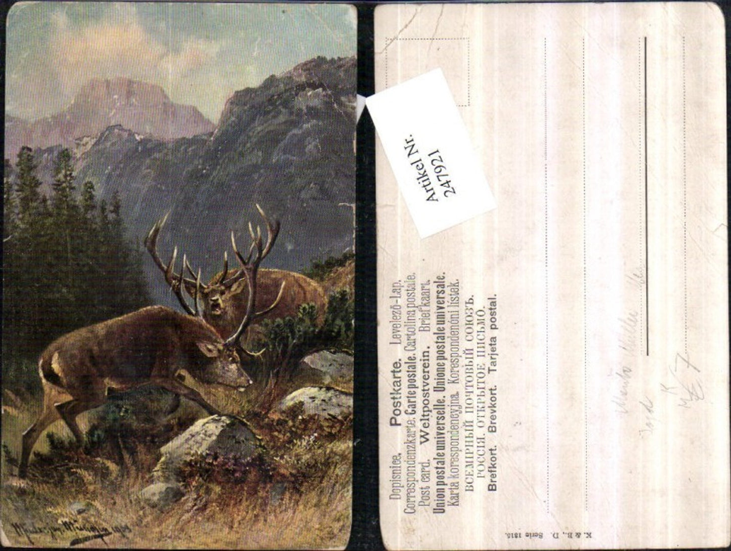 247921,Künstler AK Moritz Müller jun. Jagd Hirsche Geweih