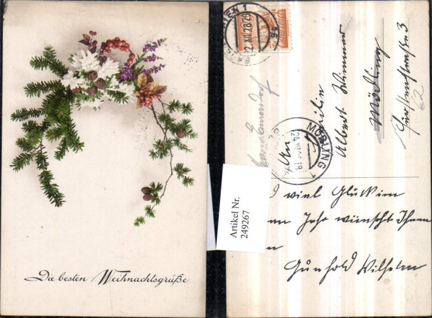 249267, Christmas fir branch cones berries flowers
