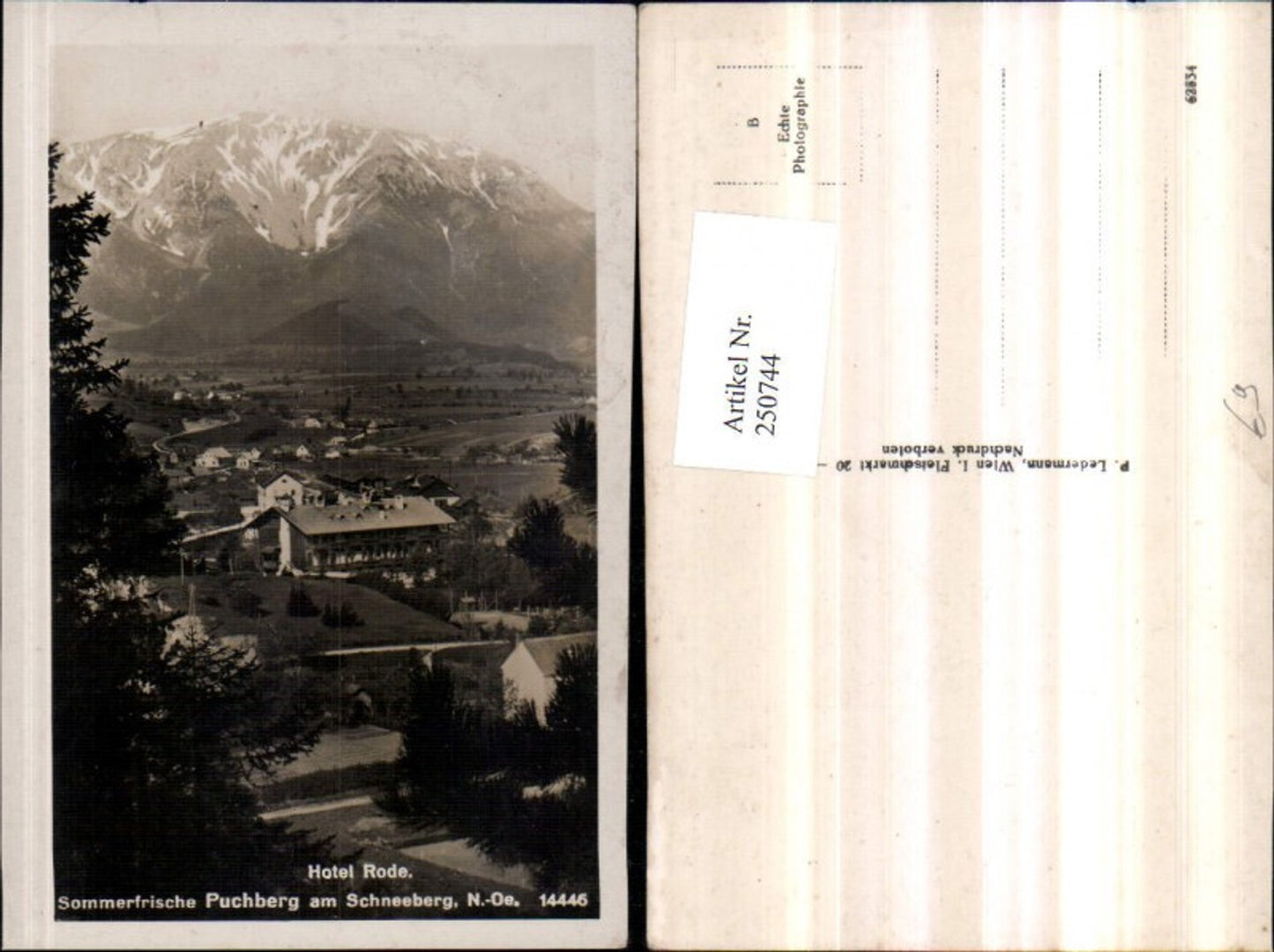 250744,Puchberg am Schneeberg Hotel Rode