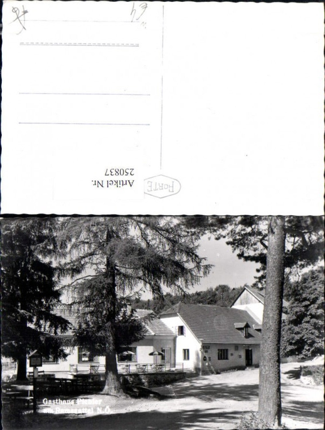 250837,Gasthaus Pichler am Ramssattel b. Kirchberg am Wechsel