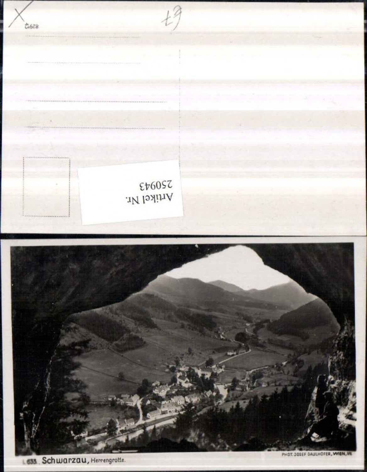 250943,Schwarzau im Gebirge Totale Herrengrotte