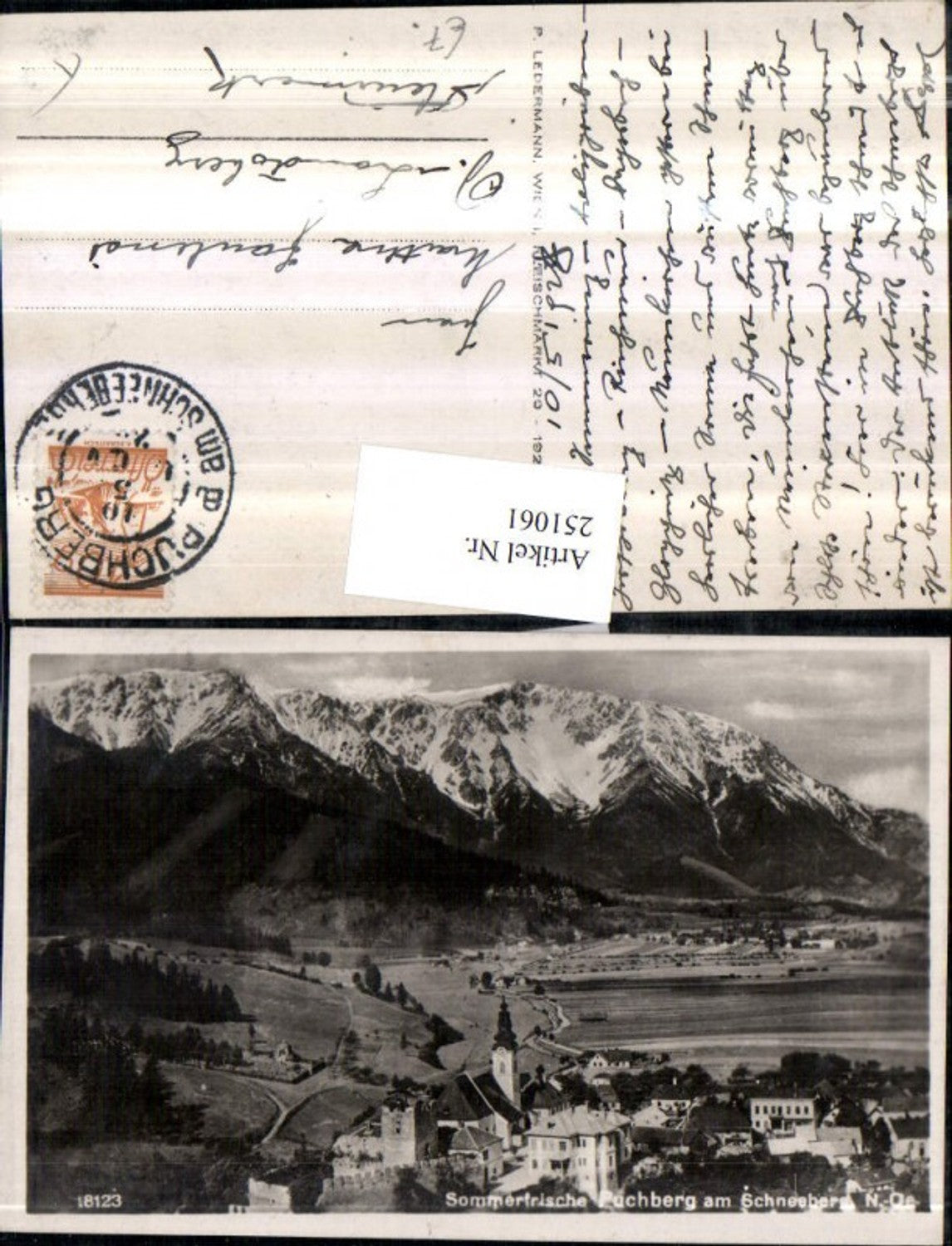 251061,Puchberg am Schneeberg Teilansicht