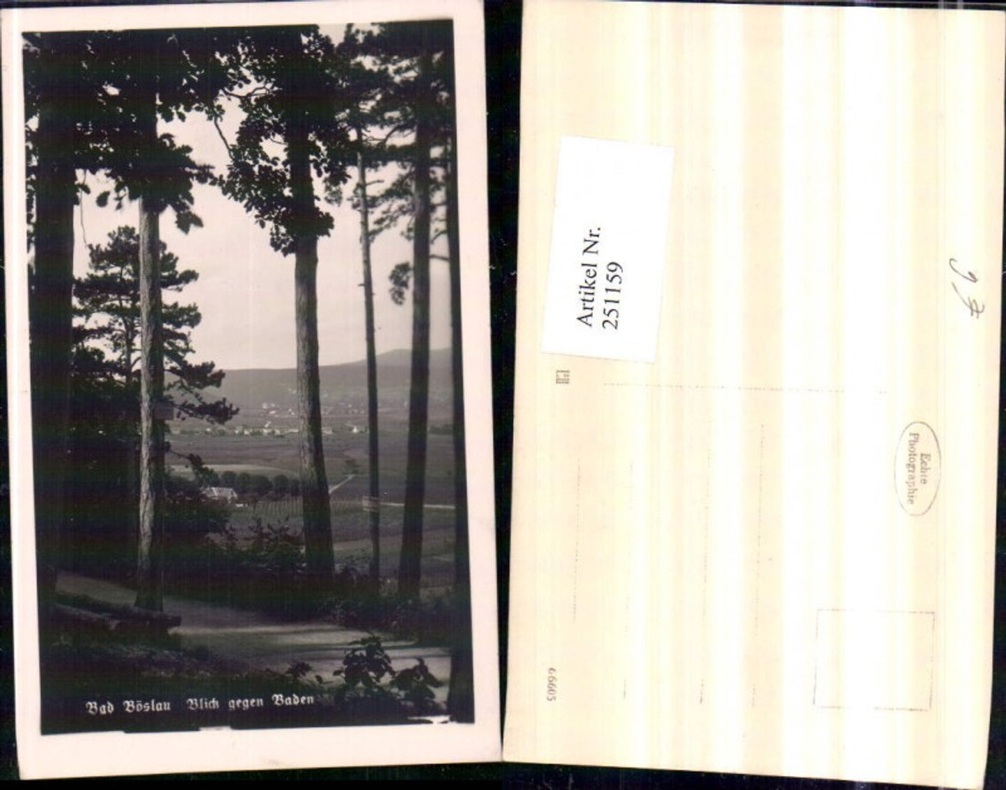 251159,Bad Vöslau Blick geg. Baden