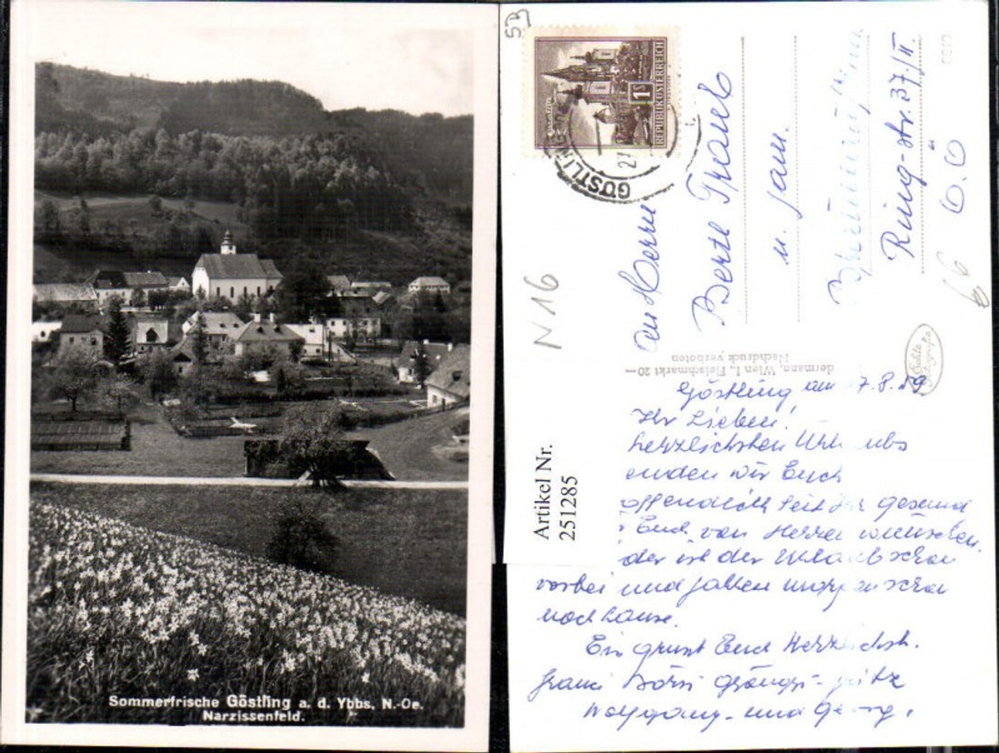 251285,Göstling an d. Ybbs Teilansicht Narzissenfeld Wiese