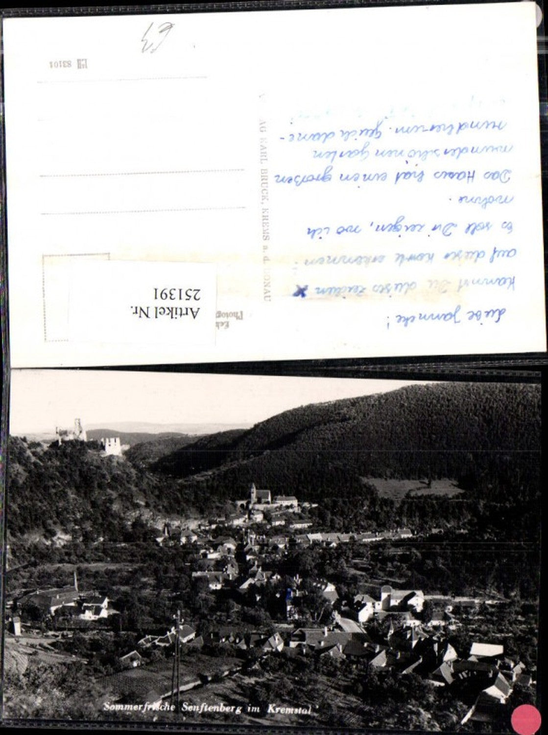 251391,Senftenberg im Kremstal Totale m. Burgruine