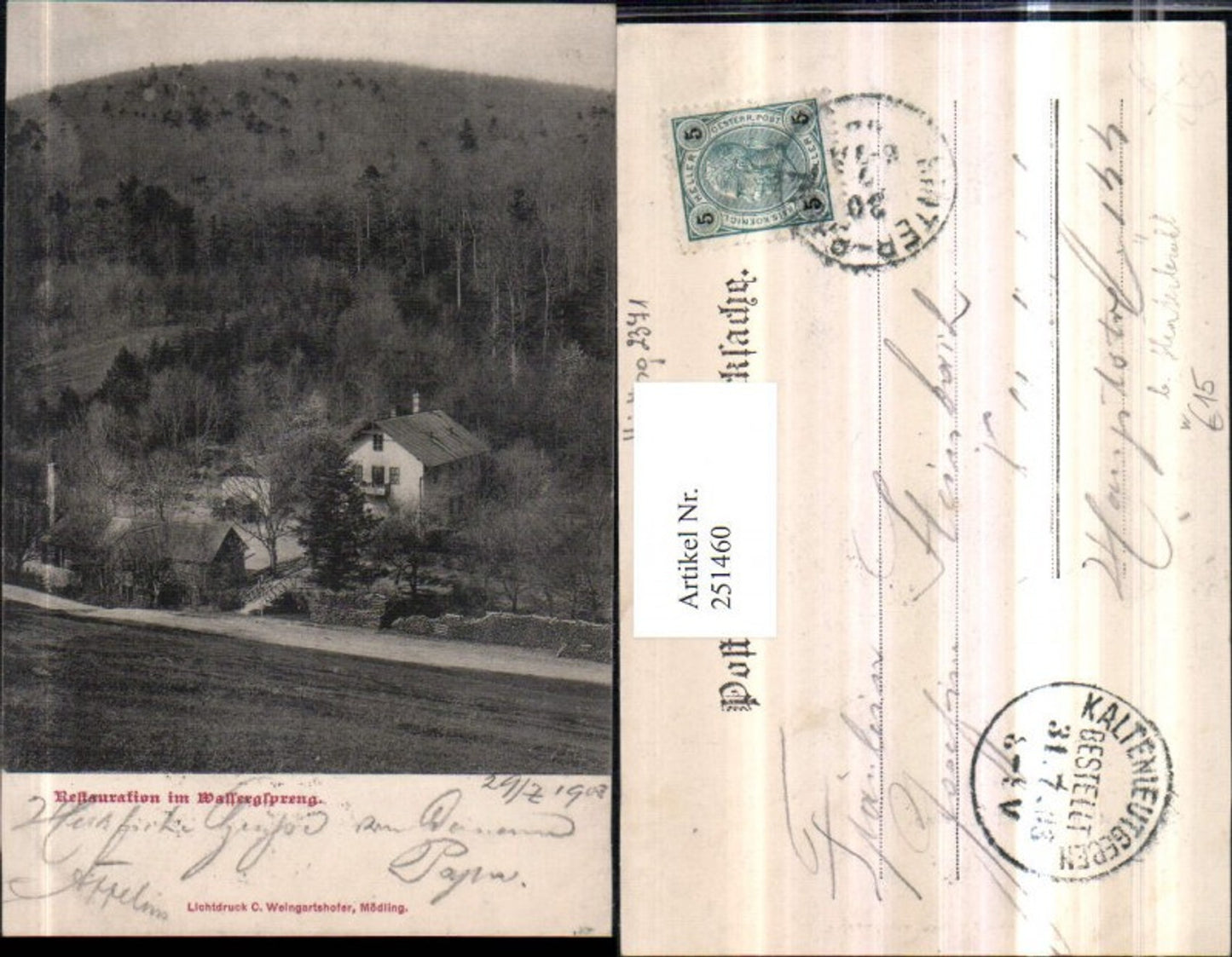 251460,Restauration im Wassergspreng b. Hinterbrühl