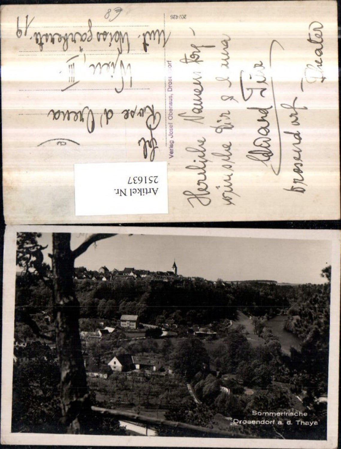 251637,Drosendorf an d. Thaya Teilansicht