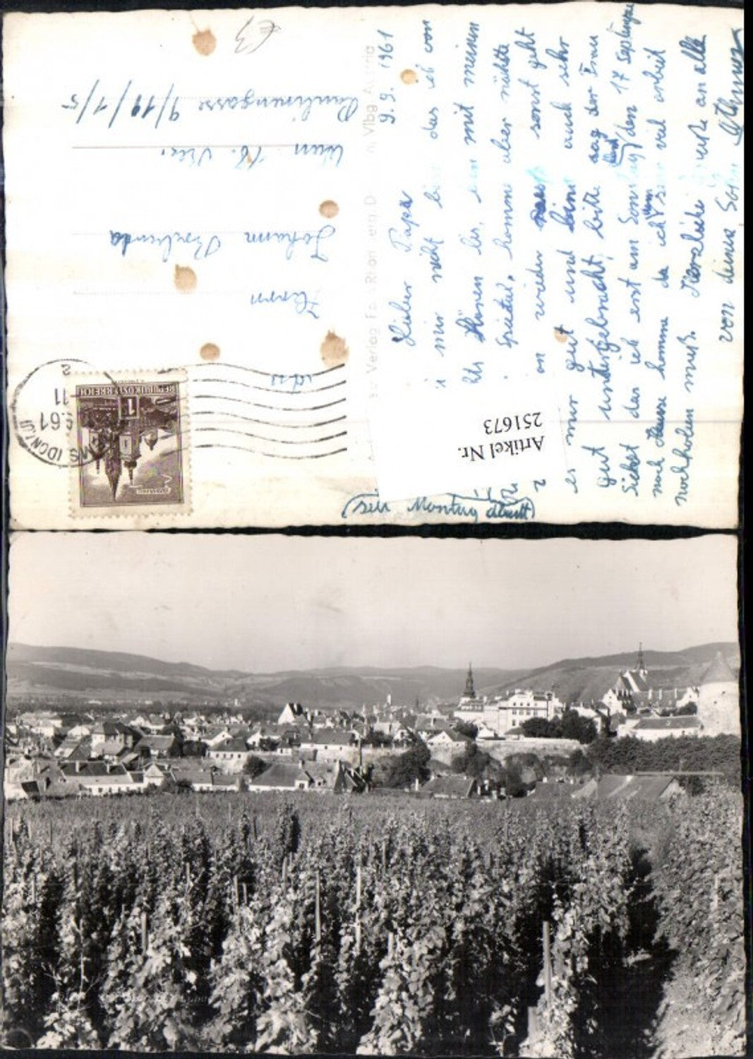 251673,Krems an d. Donau Totale Weinreben